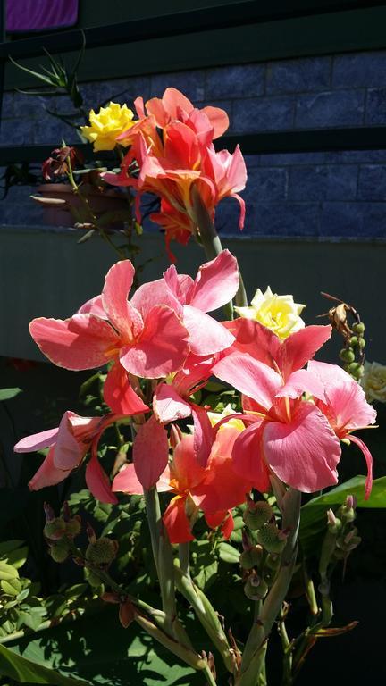 Cefalu Sweet House Of The Flowers Экстерьер фото